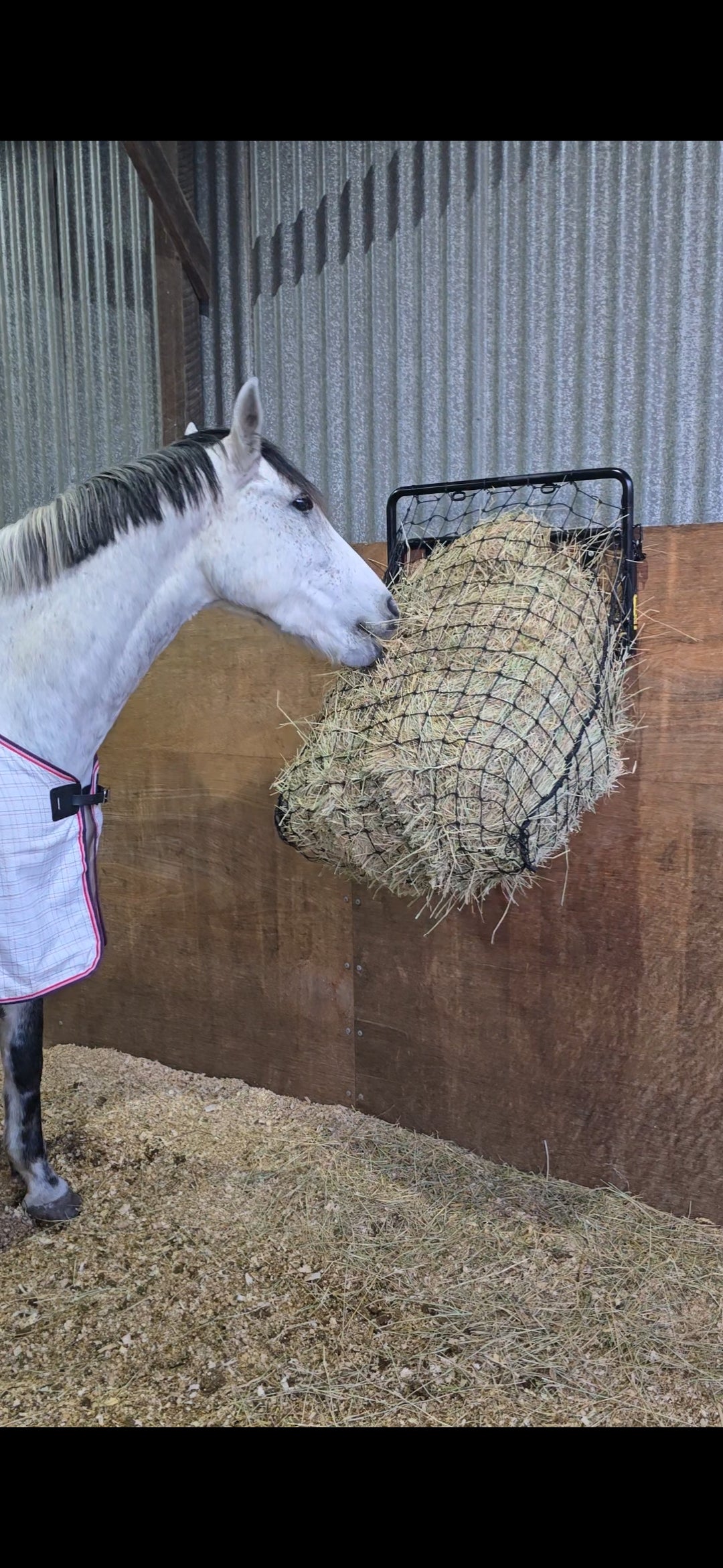 Noble's Bale Buddy (Stable)